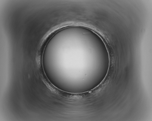 X0000116431503200912151008