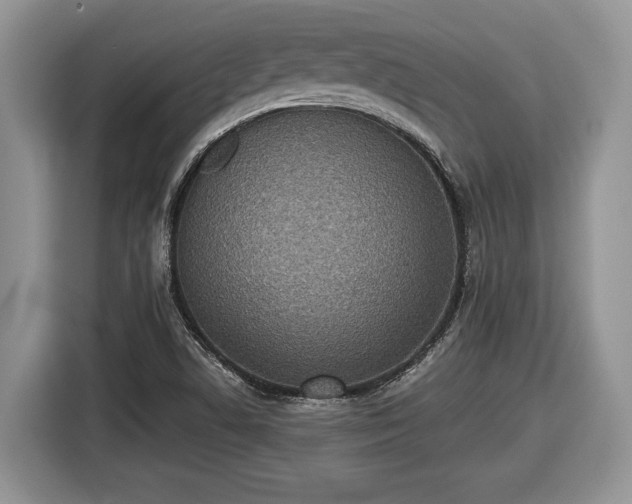X0000116431506200912151008
