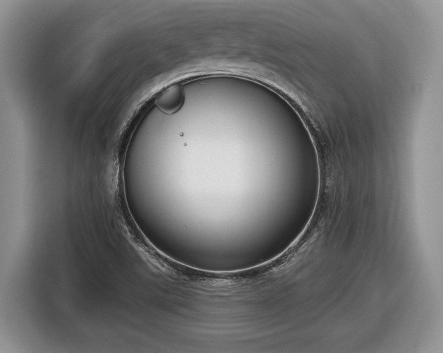 X0000116431507200912151008