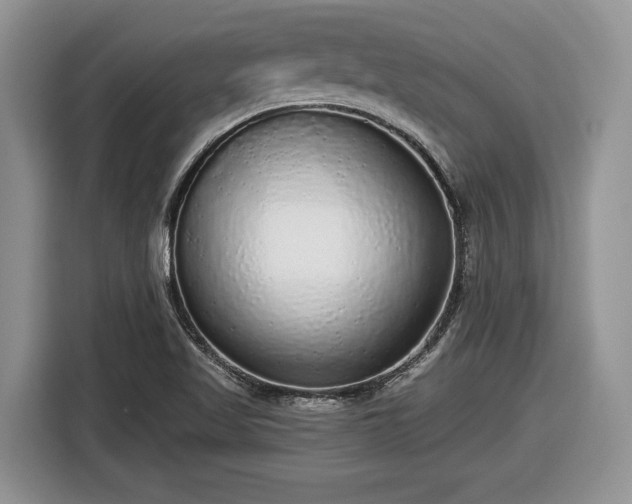X0000116431509200912151008
