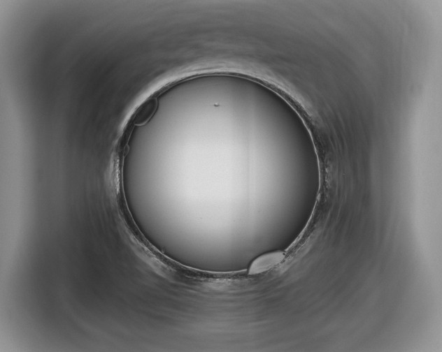 X0000116431510200912151008