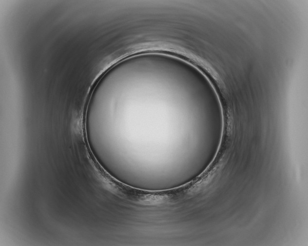 X0000116431513200912151008