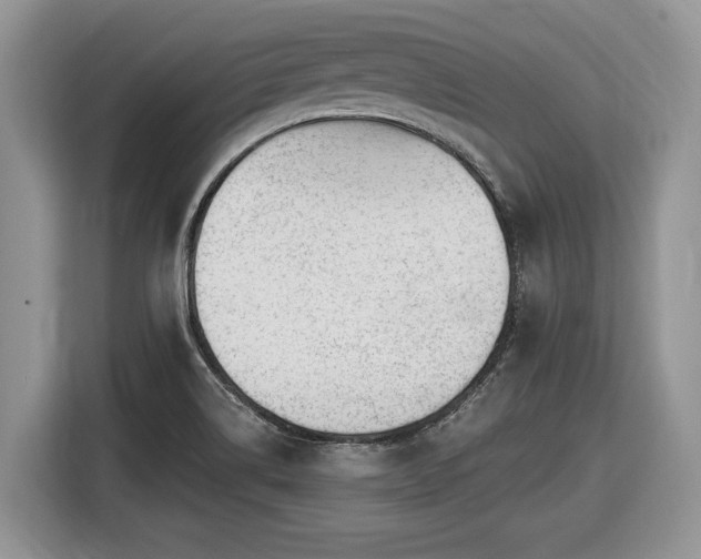 X0000116431514200912151008