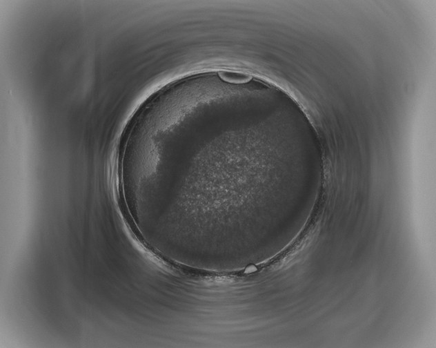 X0000116431515200912151008