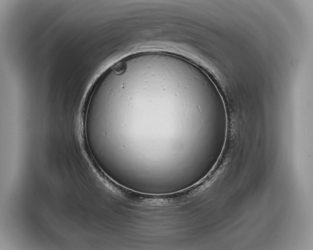 X0000116431517200912151008