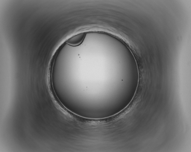 X0000116431518200912151008