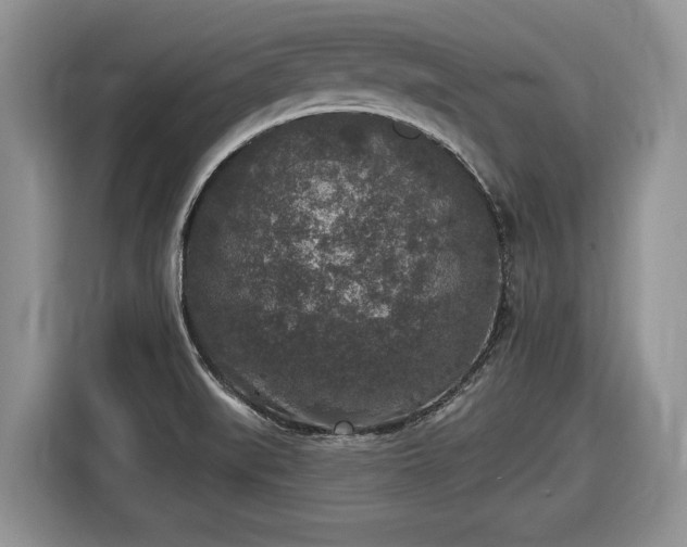 X0000116431519200912151008