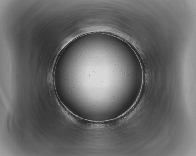 X0000116431521200912151008