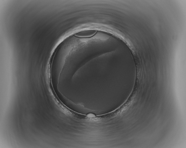 X0000116431522200912151008