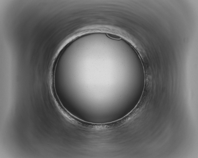 X0000116431523200912151008