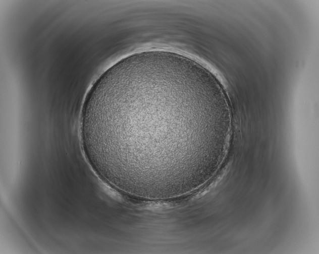 X0000116431525200912151008