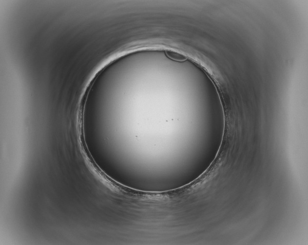 X0000116431526200912151008