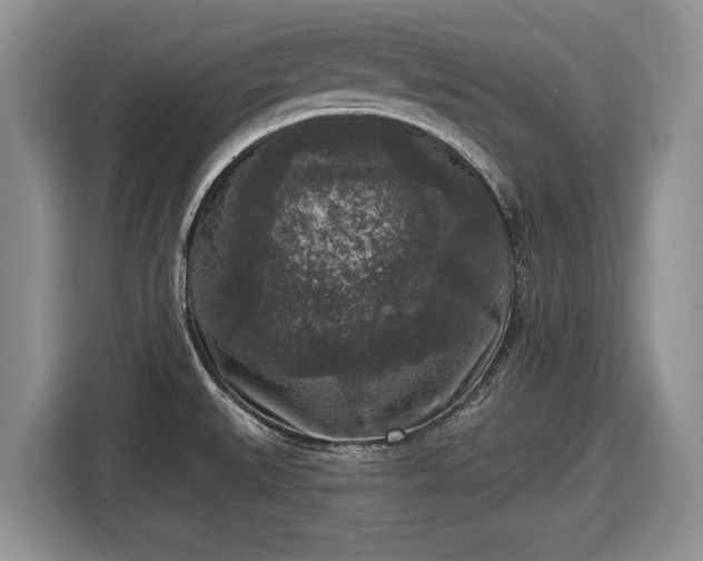 X0000116431527200912151008