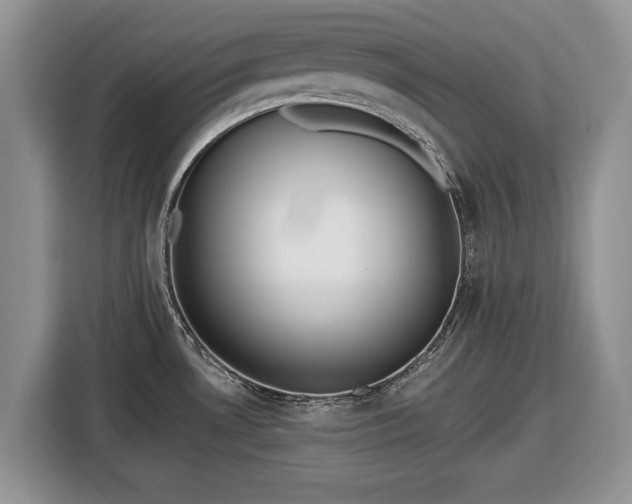 X0000116431530200912151008