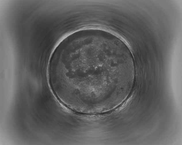 X0000116431533200912151008