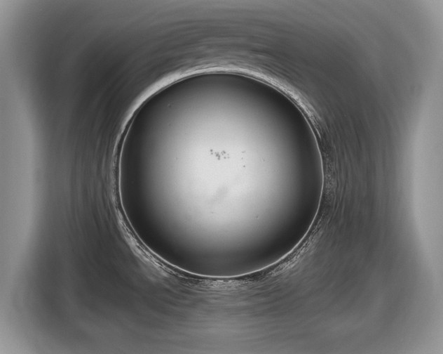 X0000116431534200912151008