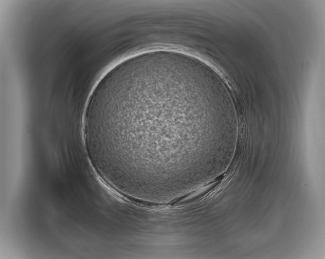 X0000116431535200912151008