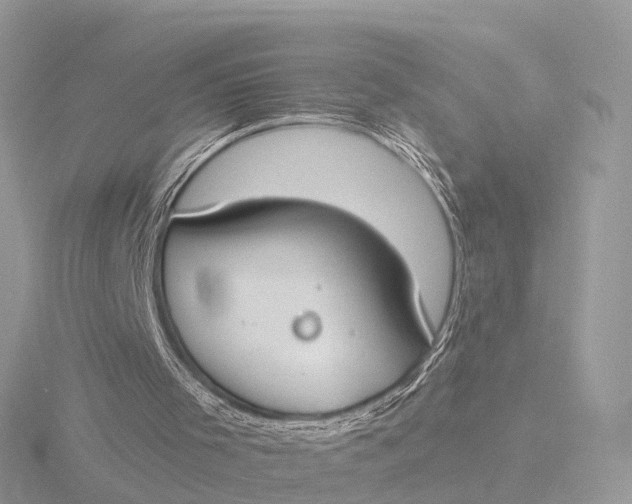 X0000116430001200912221514