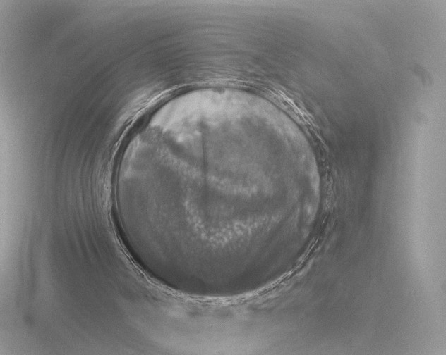 X0000116430002200912221514