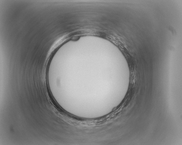 X0000116430004200912221514