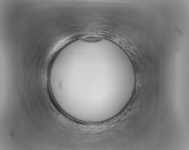 X0000116430005200912221514