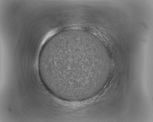 X0000116430006200912221514