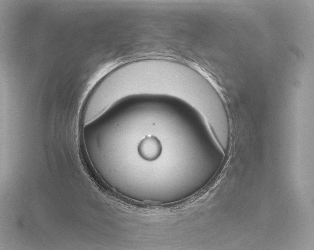 X0000116430008200912221514