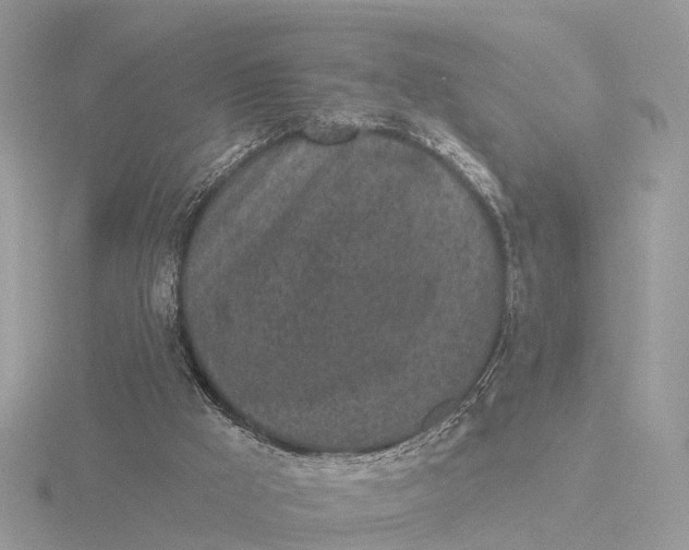 X0000116430009200912221514