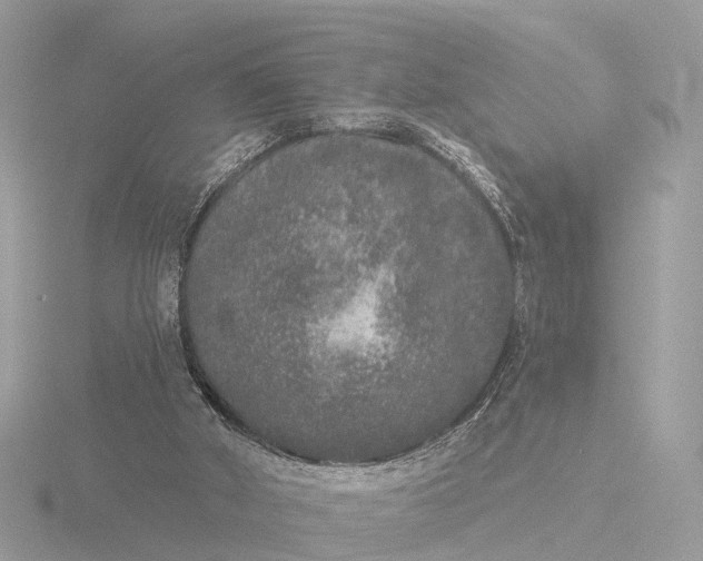 X0000116430010200912221514