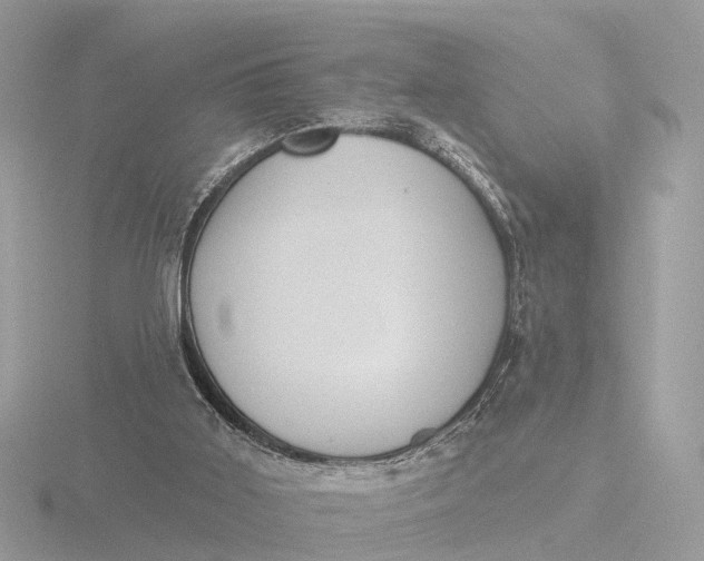 X0000116430011200912221514