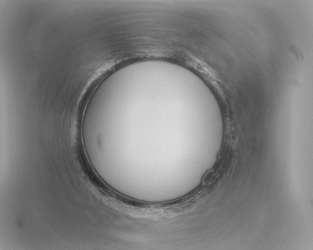 X0000116430012200912221514