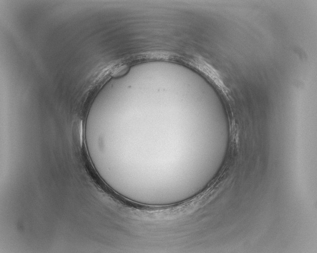 X0000116430013200912221514