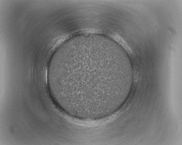 X0000116430014200912221514