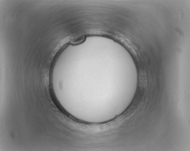 X0000116430015200912221514