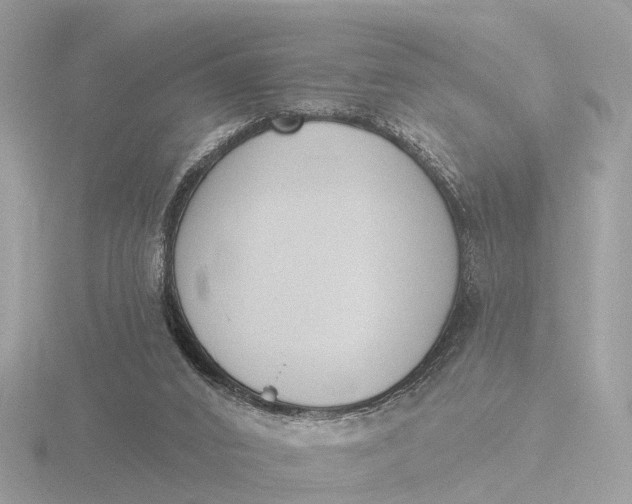 X0000116430016200912221514