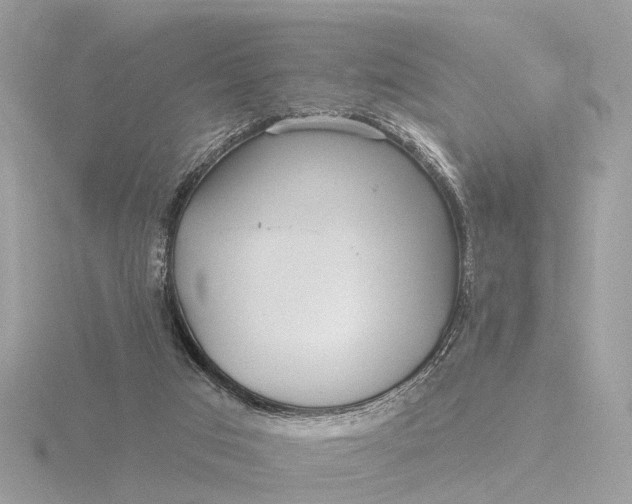 X0000116430017200912221514