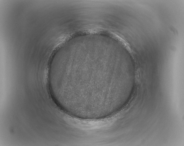 X0000116430018200912221514