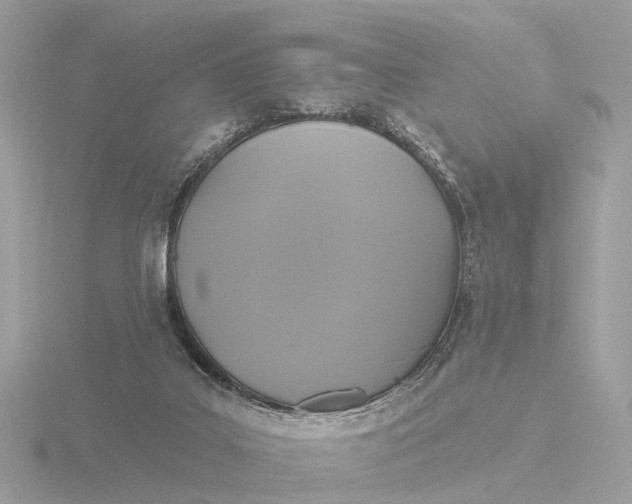 X0000116430019200912221514