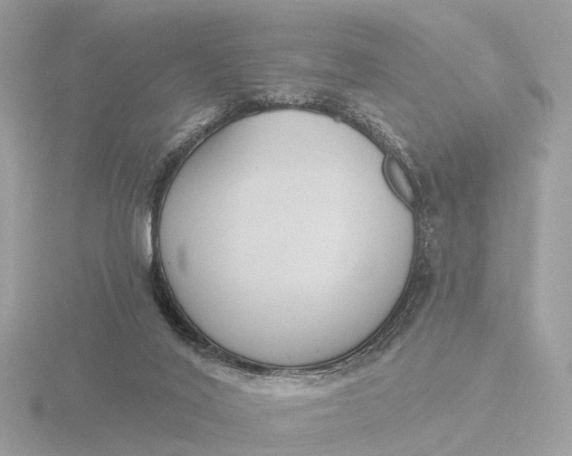 X0000116430020200912221514