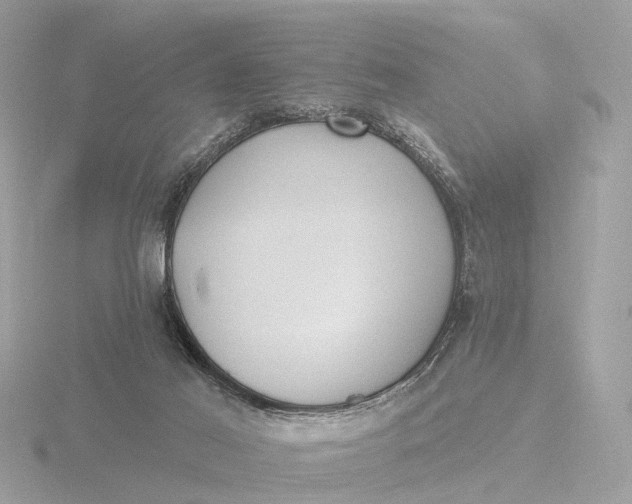 X0000116430021200912221514