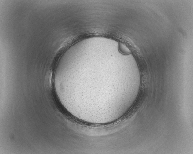 X0000116430024200912221514