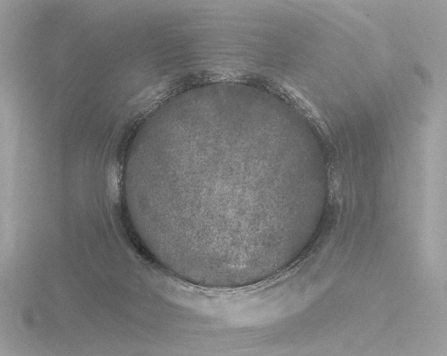 X0000116430026200912221514