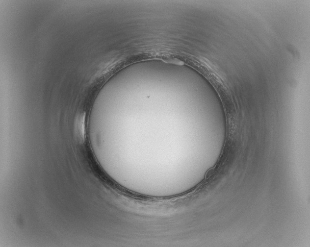 X0000116430028200912221514