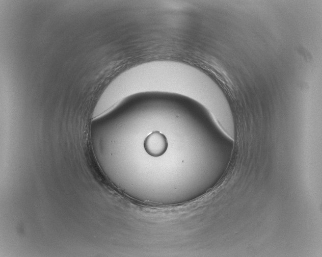 X0000116430029200912221514