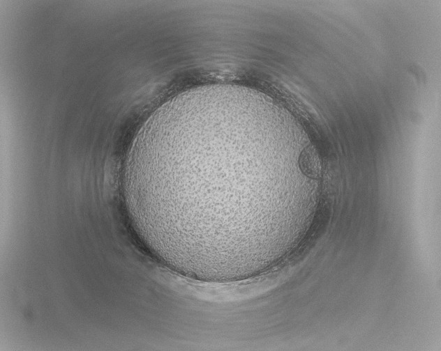 X0000116430030200912221514