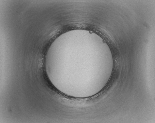 X0000116430032200912221513