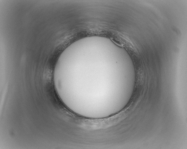 X0000116430033200912221513