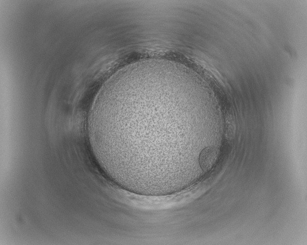 X0000116430034200912221513