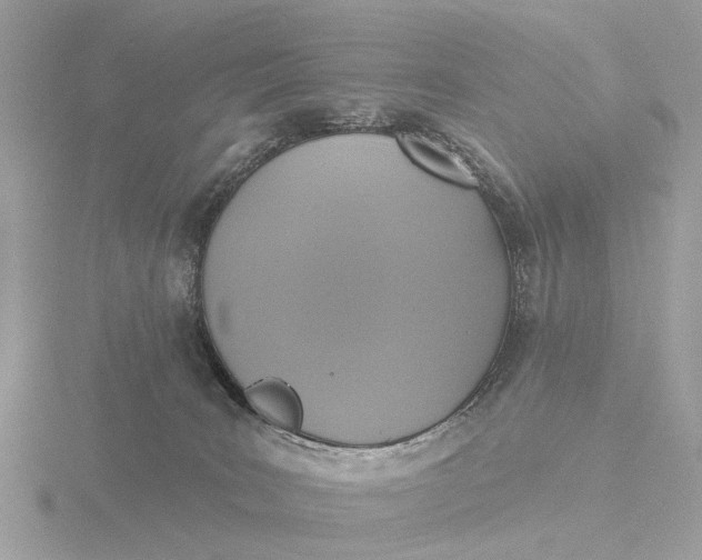 X0000116430035200912221513