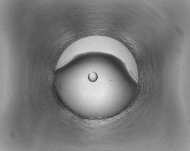 X0000116430037200912221513